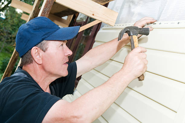 Affordable Siding Repair and Maintenance Services in Blue Earth, MN